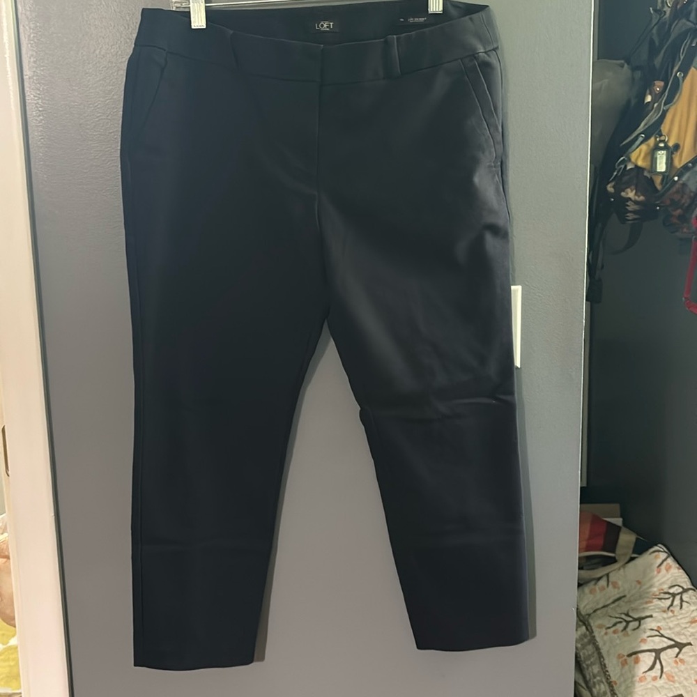 LOFT Petites Julie Skinny cropped pants-14
